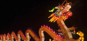 International Higher Education Roundup: 18 November 2011 main image