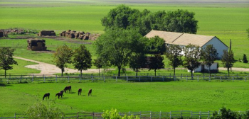 Study in Kentucky main image